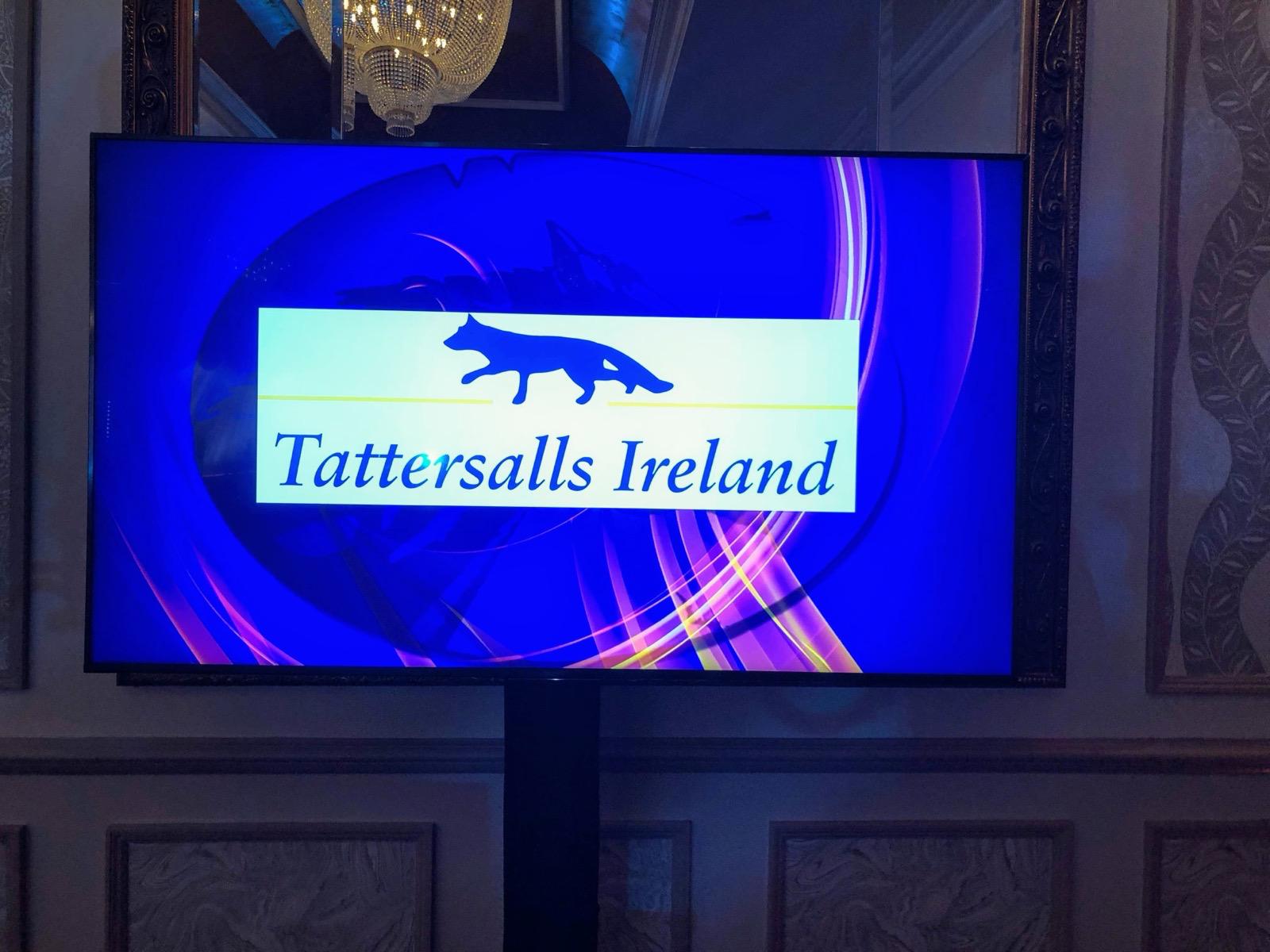 Tattersalls — Outdoor Event Setup