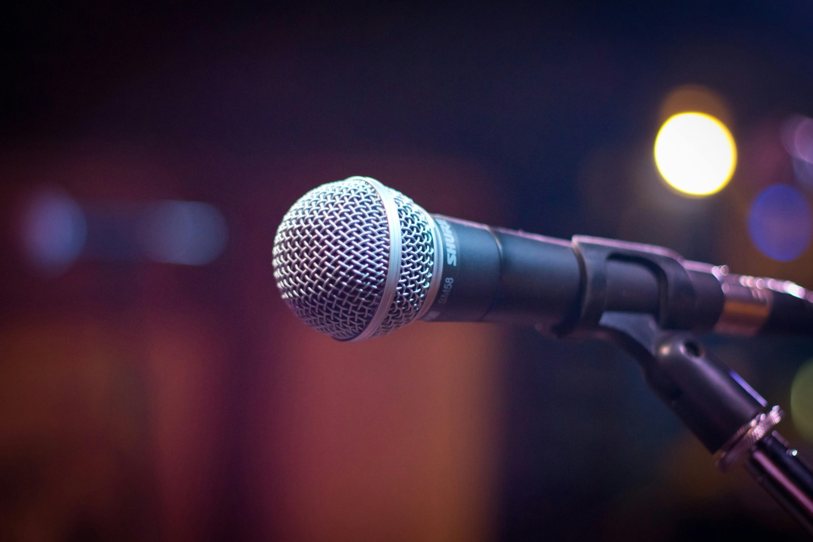 Shure SM58 Vocal Microphone